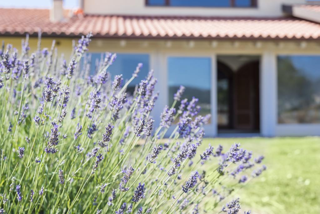Agriturismo Terre Di Castiglione Кастільйоне-делла-Пеская Екстер'єр фото