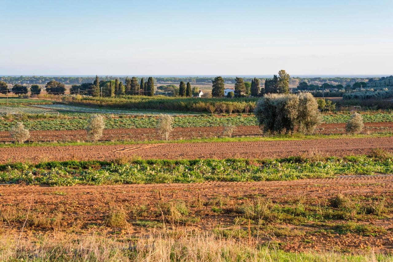 Agriturismo Terre Di Castiglione Кастільйоне-делла-Пеская Екстер'єр фото