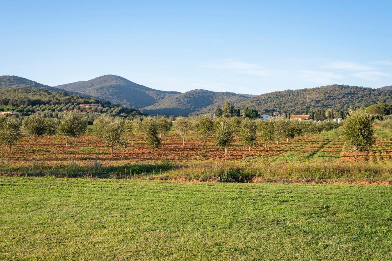 Agriturismo Terre Di Castiglione Кастільйоне-делла-Пеская Екстер'єр фото
