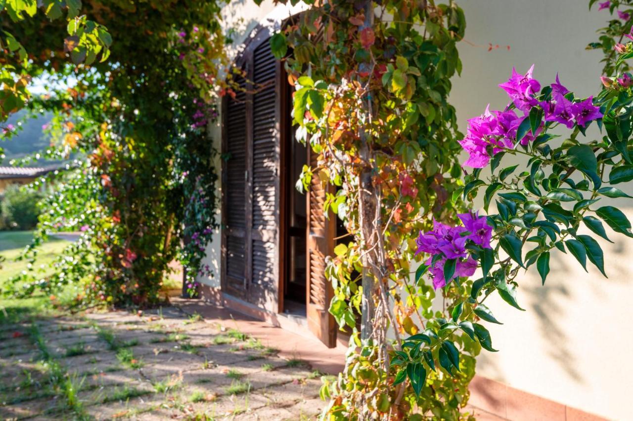 Agriturismo Terre Di Castiglione Кастільйоне-делла-Пеская Екстер'єр фото