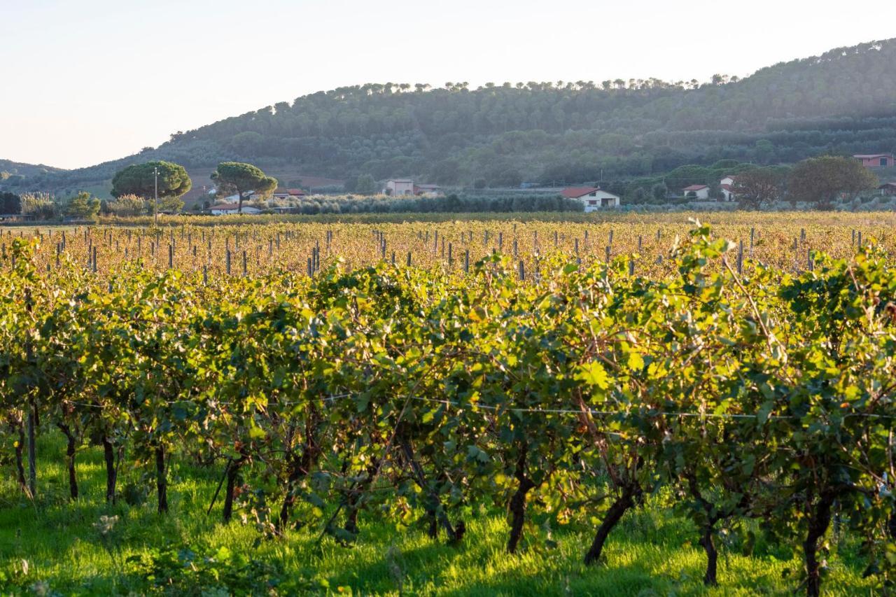 Agriturismo Terre Di Castiglione Кастільйоне-делла-Пеская Екстер'єр фото