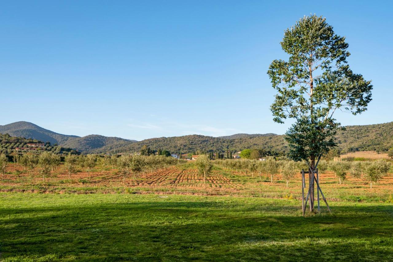 Agriturismo Terre Di Castiglione Кастільйоне-делла-Пеская Екстер'єр фото
