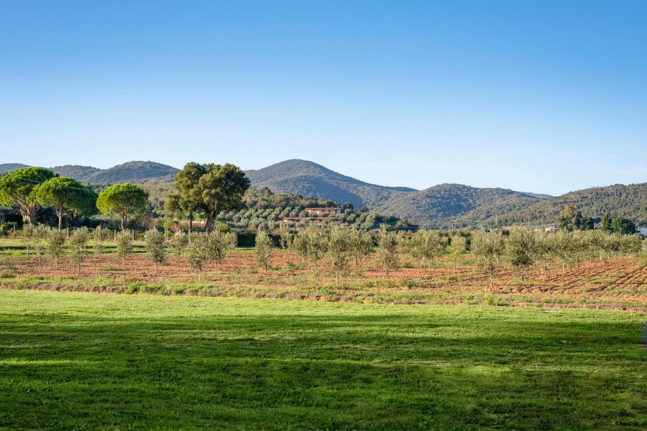 Agriturismo Terre Di Castiglione Кастільйоне-делла-Пеская Екстер'єр фото