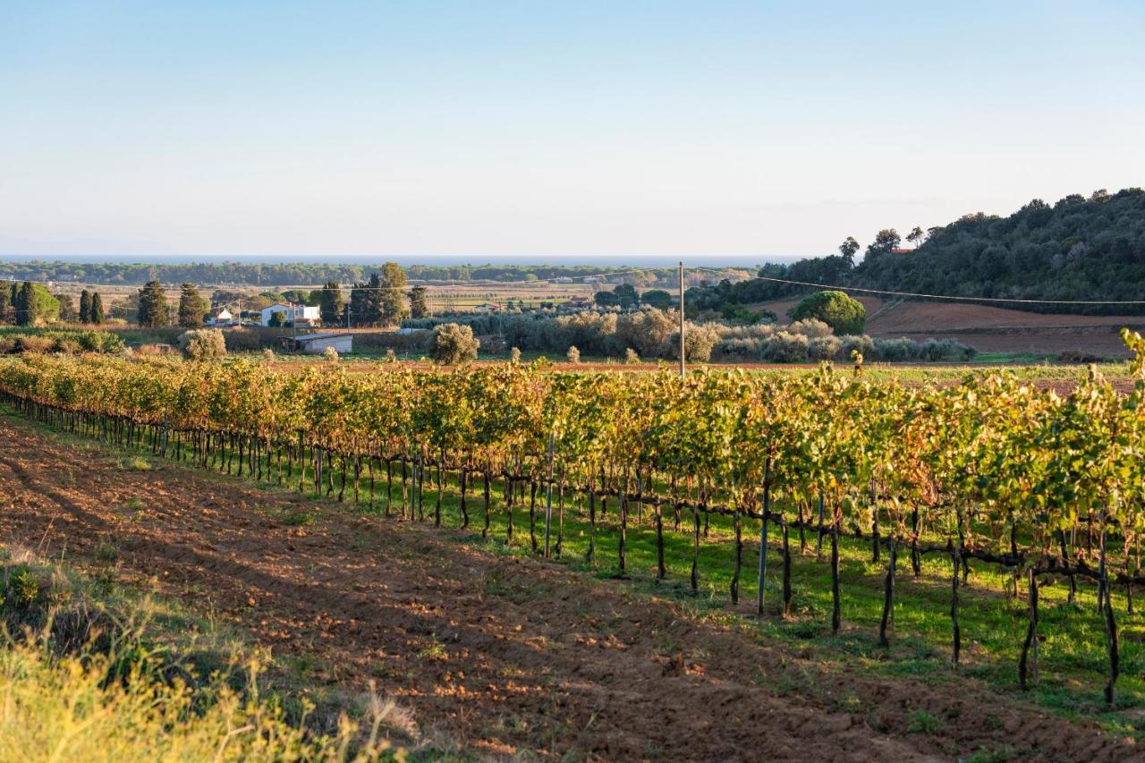 Agriturismo Terre Di Castiglione Кастільйоне-делла-Пеская Екстер'єр фото