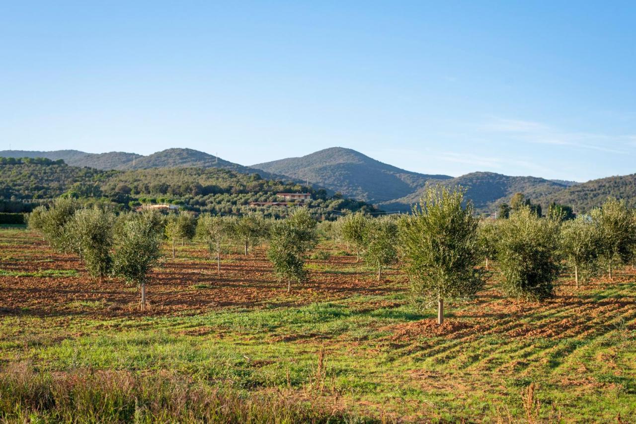 Agriturismo Terre Di Castiglione Кастільйоне-делла-Пеская Екстер'єр фото