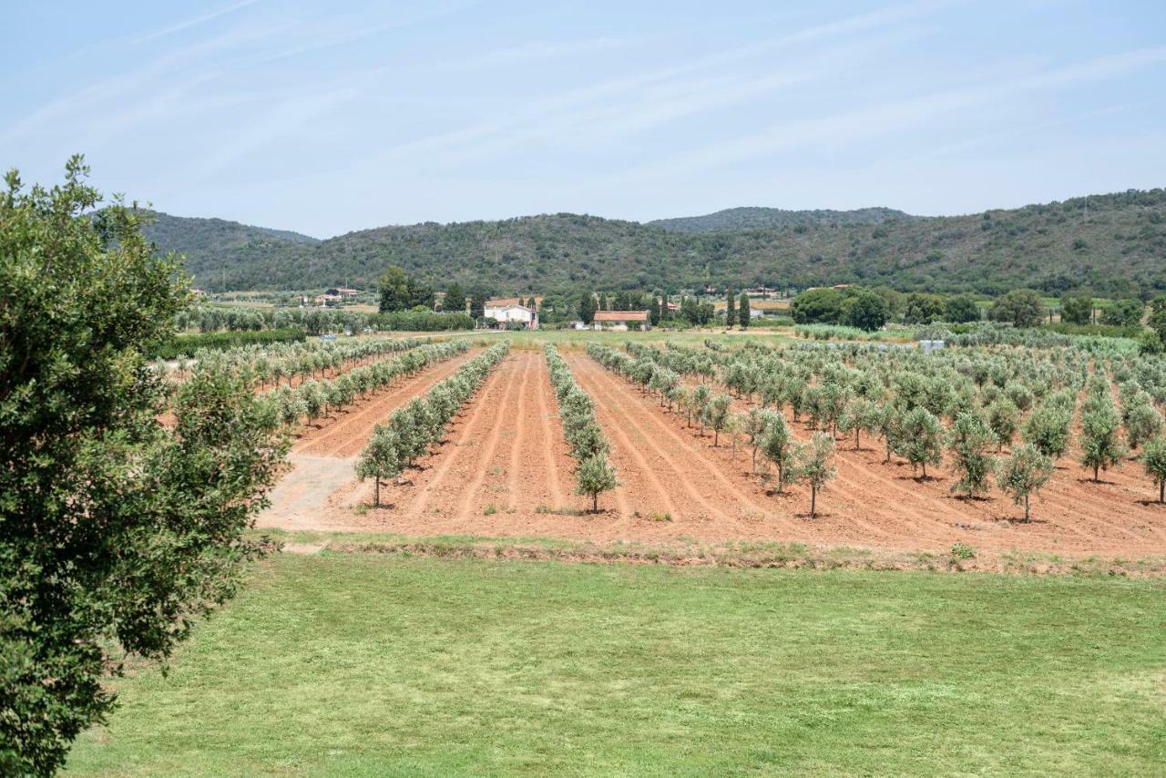 Agriturismo Terre Di Castiglione Кастільйоне-делла-Пеская Екстер'єр фото